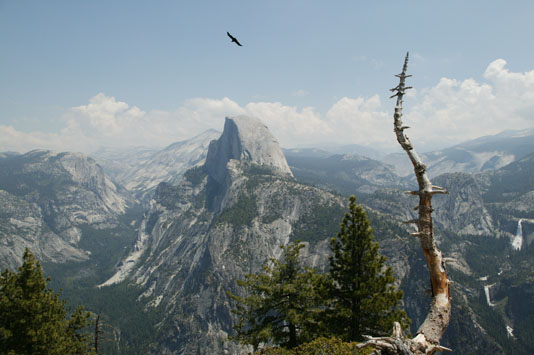 Half Dome and Falls